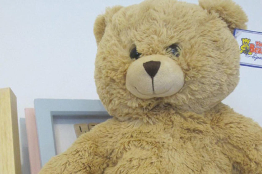Heartbeat Bears – pregnancy mementos to cherish forever