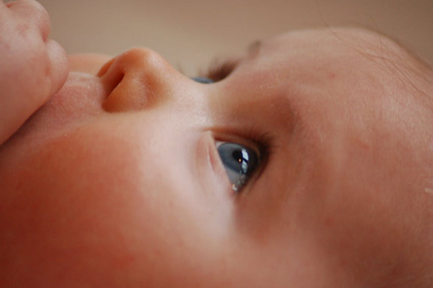 Why invest in a gender scan?