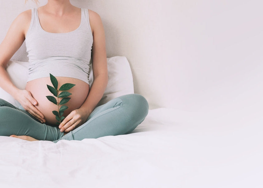 3D & 4D Baby Scan Plus Package