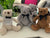 Heartbeat Bears - Super Soft Large Bears or animals - EarlyLife