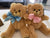 Heartbeat Bears - Baby animals - EarlyLife